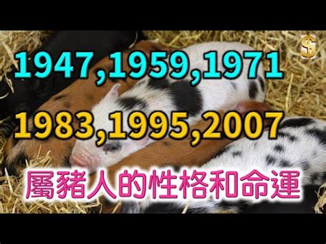 乙亥豬|【1995年 五行】1995年五行屬什麼？揭曉你的命理密碼！